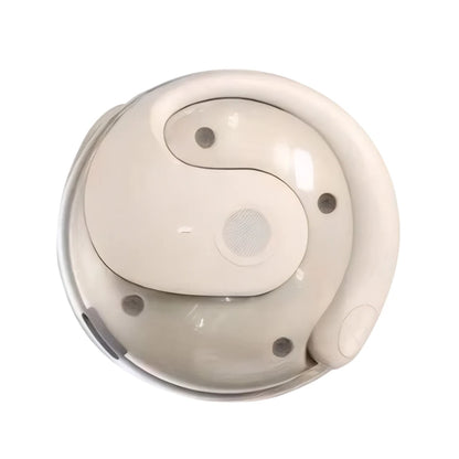 3 in 1 Translation earphone that supports 144 different Languages! Real-Time Translator Earbuds with Noise Reduction, Waterproof, and great for Business AI Translator Earbud